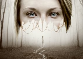 The Forest (2015) & Oscar Nominations (2016) The Forest (2015) & Oscar Nominations (2016)